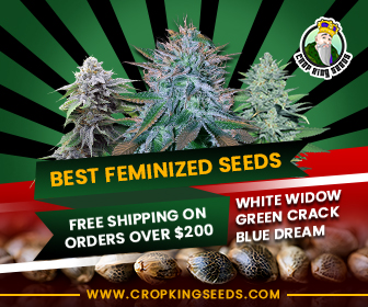 Crop King Seeds(COM)