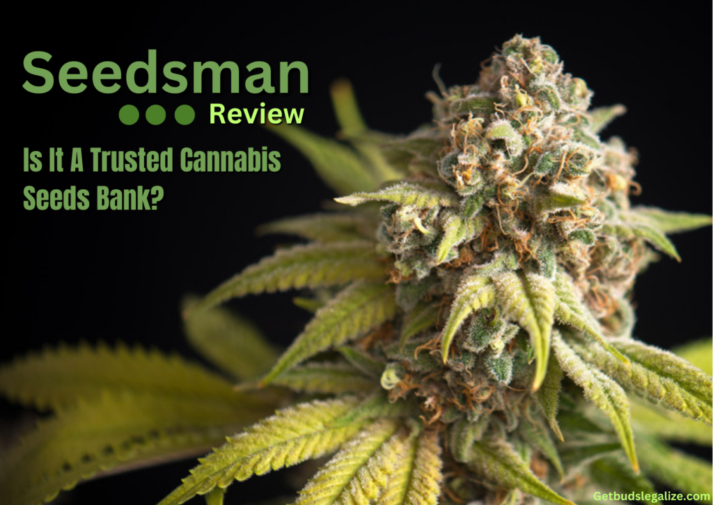 Seedsman Review, cannabis, marijuana, seed bank, weed, seeds