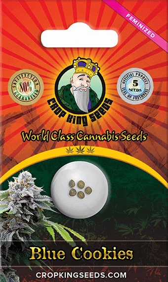 Crop King Seeds Review: Discover Our Honest Opinion 8 BLUE COOKIES STRAIN FEMINIZED MARIJUANA SEEDS, crop king seeds