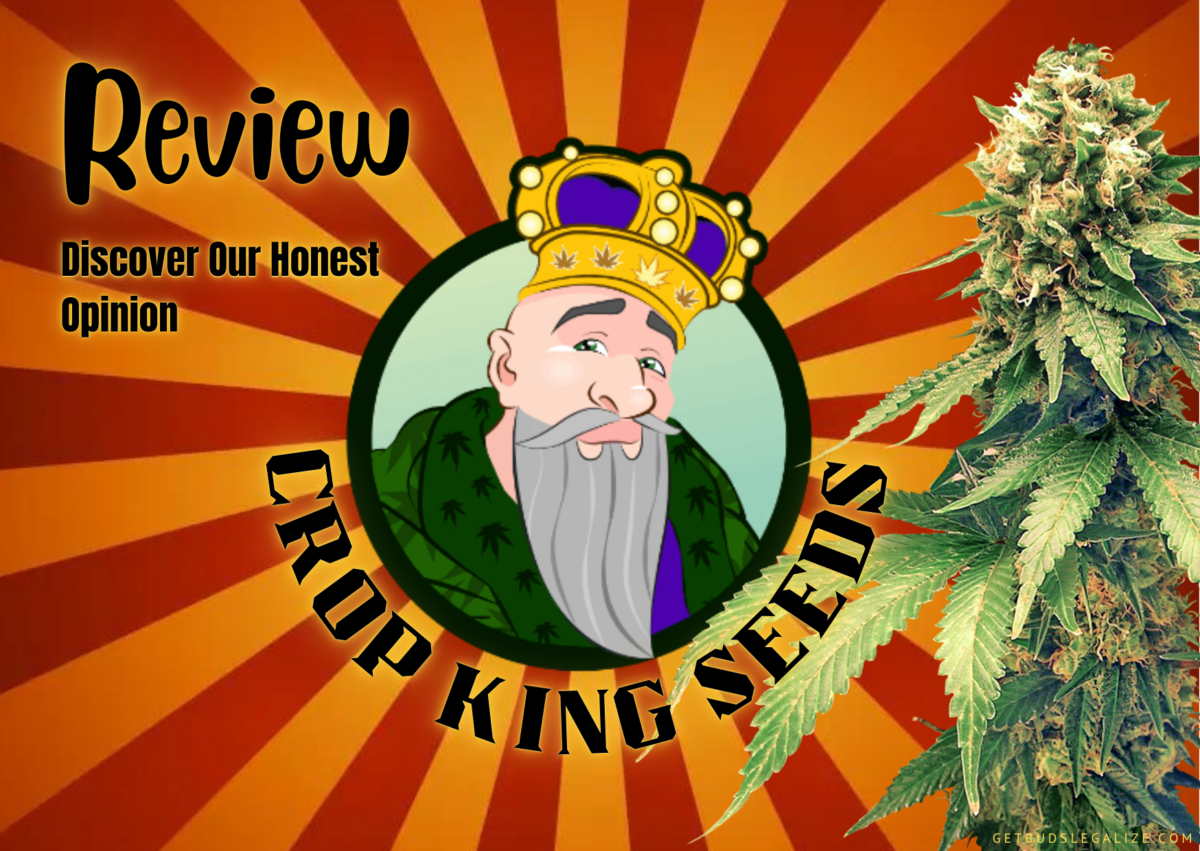 Crop King Seeds Review 2024 Discover Our Honest Opinion   CROP KING SEEDS 3 E1704126953646 