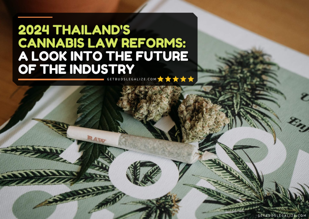 2024 Thailand's Cannabis Law Reforms: A Look Into the Future of the Industry