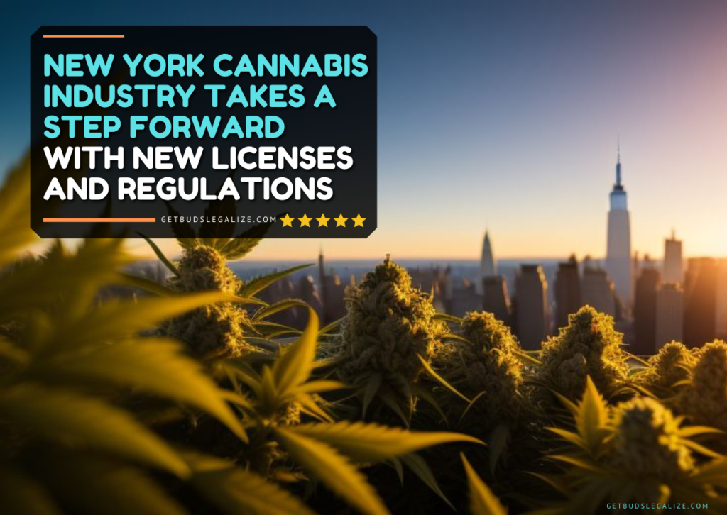 New York Cannabis Industry Takes a Step Forward with New Licenses and ...