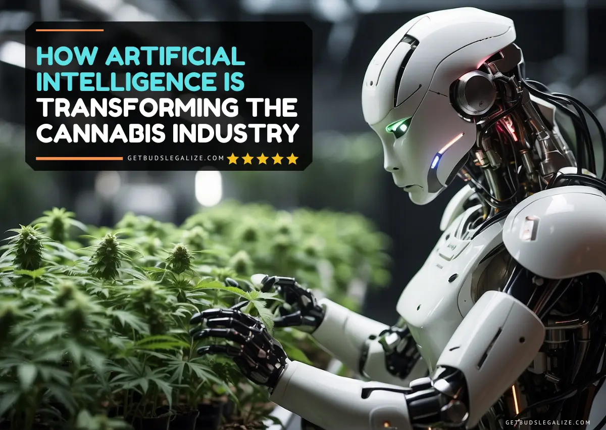 How Artificial Intelligence Is Transforming The Cannabis Industry