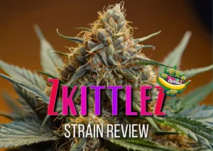 Zkittlez Strain Review & Growing Guide, WEEED, CANNABIS, MARIJUANA, SEEDS, FOR SALE