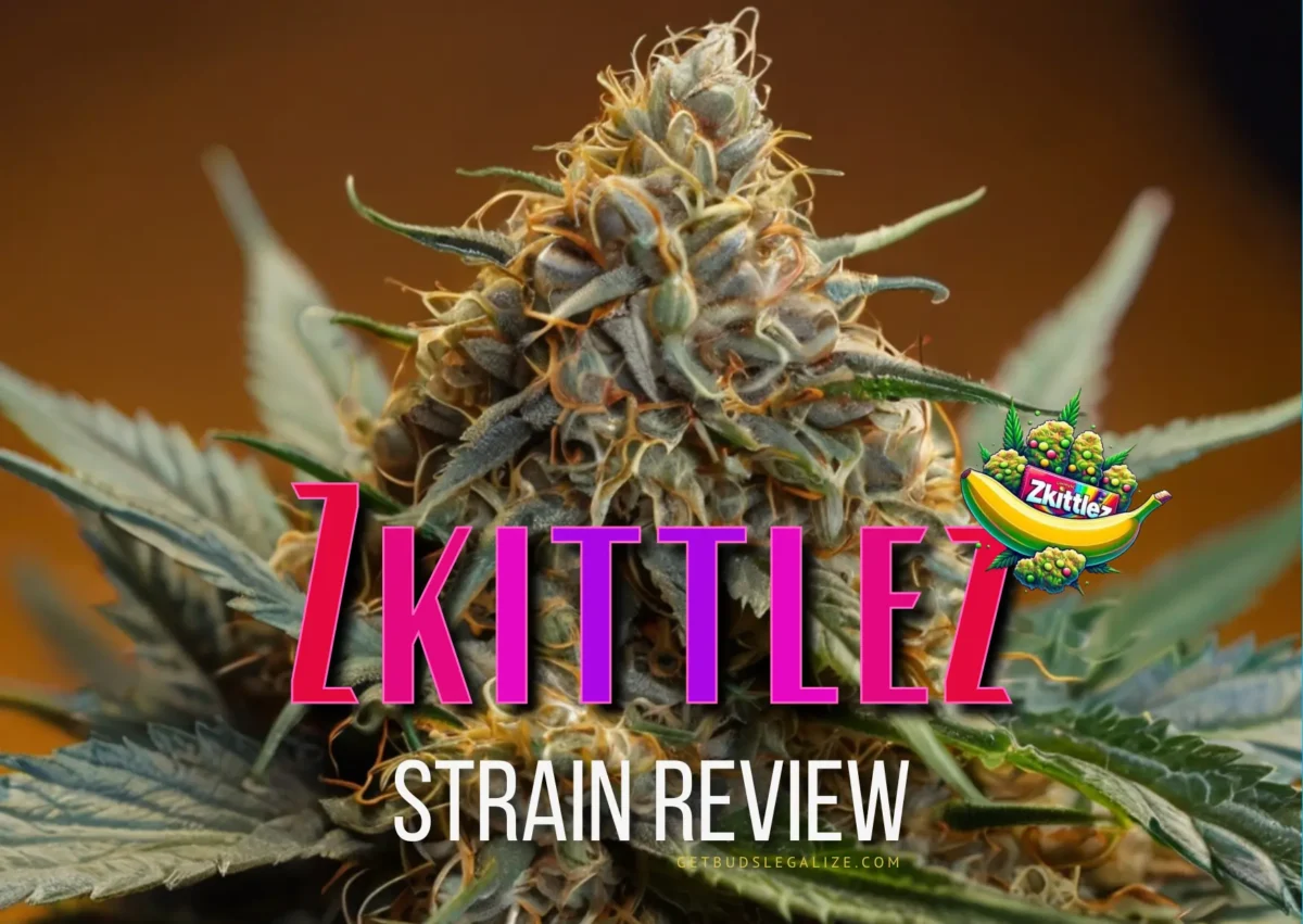 Zkittlez Strain Review & Growing Guide: Unlocking The Sweetness
