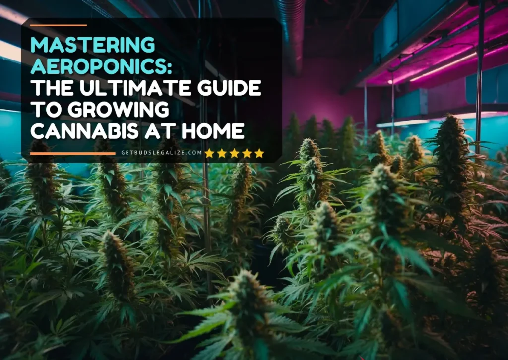 Aeroponics: The Ultimate Guide to Growing Cannabis at Home