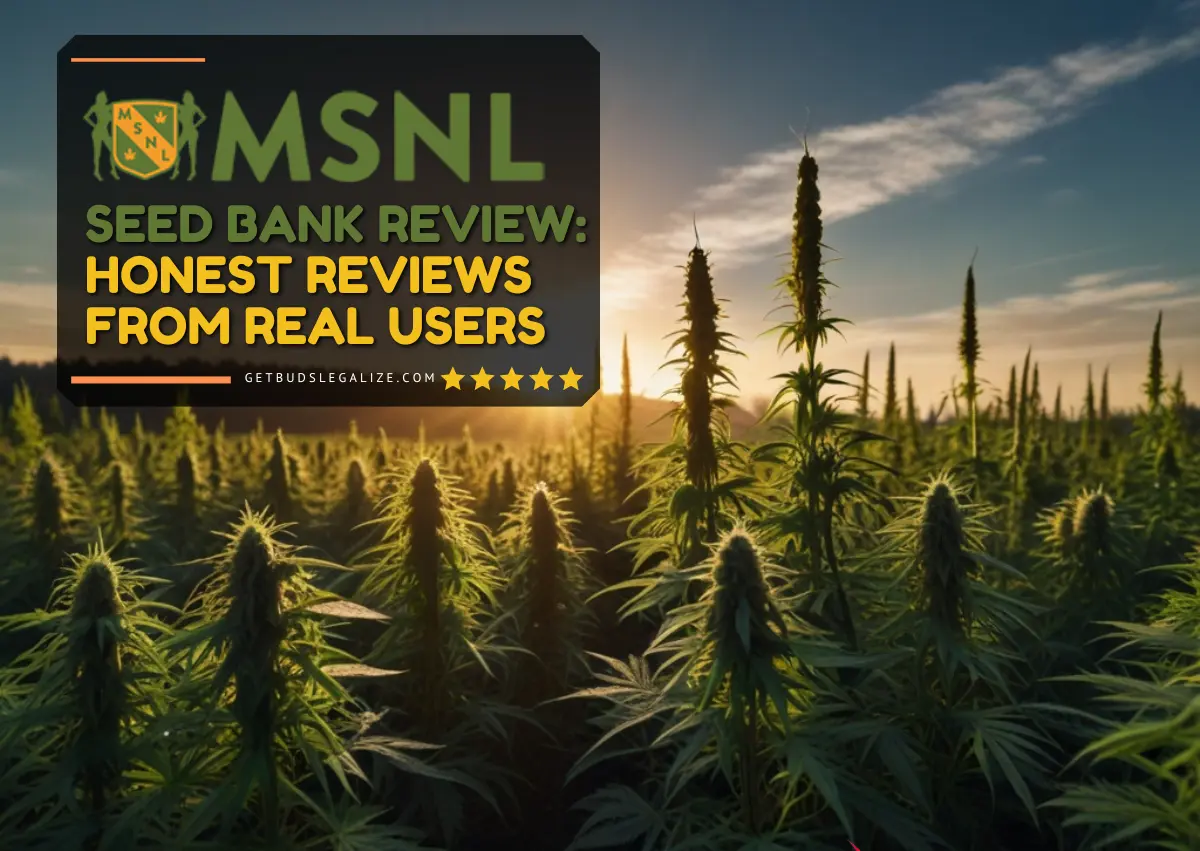 MSNL Seed Bank Review: Honest Reviews From Real Users