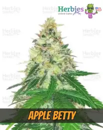 Apple Betty, herbies seeds, weed, marijuana, cannabis seeds for sale