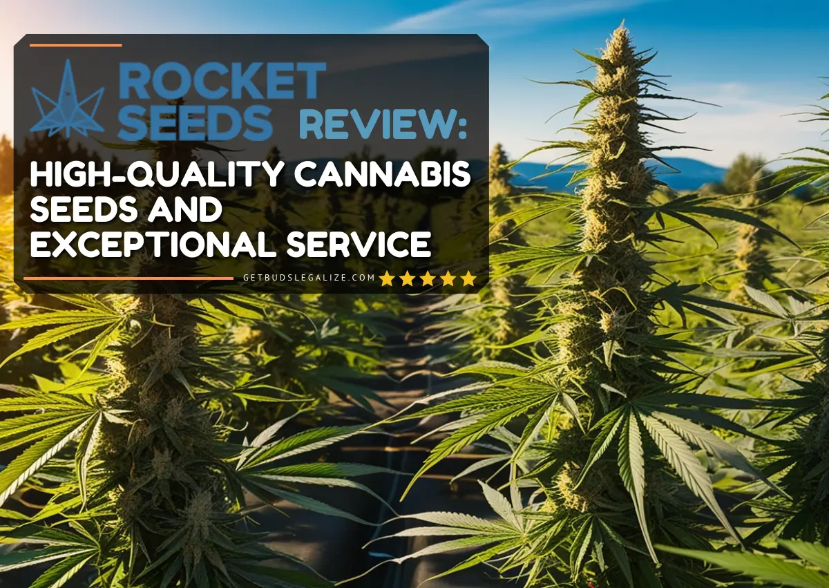 Rocket Seeds Review: High-Quality Cannabis Seeds and Exceptional Service