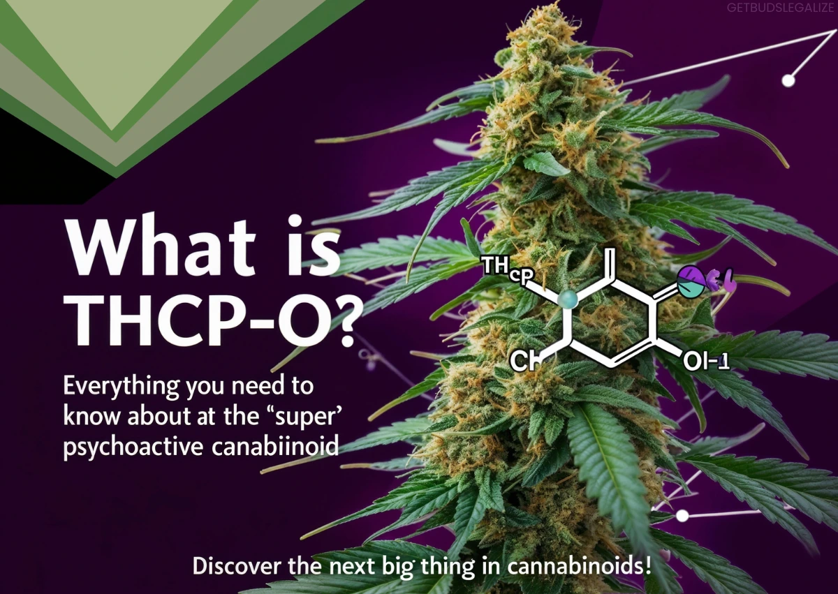 What is THCP-O? Exploring the Potent New Psychoactive Cannabinoid