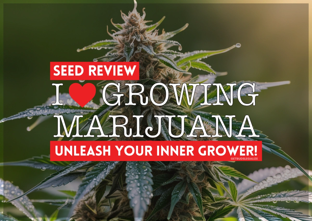 ILGM ILoveGrowingMarijuana Seed Review: Unleash Your Inner Grower!