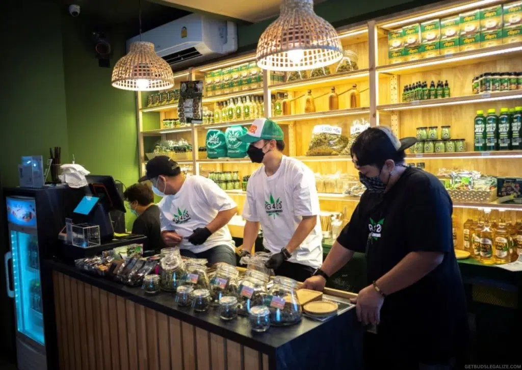Thailand's New Cannabis Law Explained: Prescriptions, Permits, and Public Pushback 8 Inside a cannabis dispensary in Thailand under Thailand’s new cannabis law