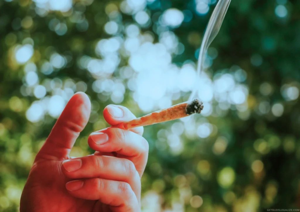 How To Put Out a Joint and Save It for Later (Without Ruining It) 15 Close-up of a lit cannabis spliff with a glowing cherry at the tip, gentle smoke curling into the air against a dark blurred background.