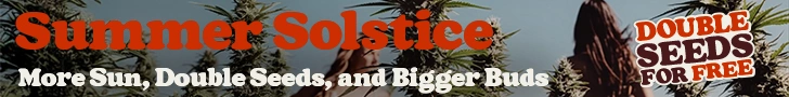 lgm banner