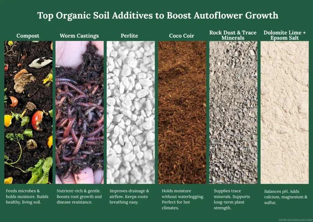 Best Soil for Growing Autoflowering Cannabis: Organic Mixes & Expert Tips 12 6-part infographic illustrating organic soil additives for autoflower cannabis growth: compost, worm castings, perlite, coco coir, rock dust, and dolomite + Epsom salt. Each section features a simple icon or image and a short benefit-focused description.